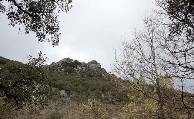 Cerca de la cumbre